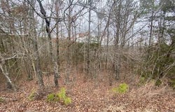 Lot 75 Mustang Drive, Clinton, AR 72031