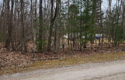 45 Scott Road, Greenbush, MI 48738