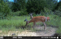 0001 S 310 Road, Morris, OK 74437