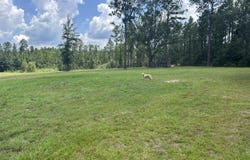 0 Highway 603 Highway, Kiln, MS 39556