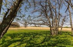 001 Cemetary Drive, Oktaha, OK 74450