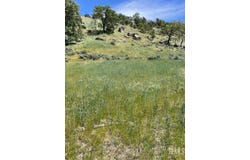 29520 Butterfield, Tehachapi, CA 93561