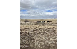 N3540 Lot 500, Concho, AZ 85924