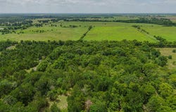 785 Park Street, Ladonia, TX 75449