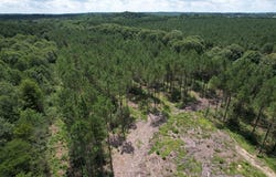 Tbd County Road 3706, Tenaha, TX 75974