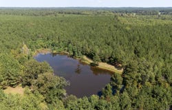 Sams Creek Road, Gallion, AL 36742