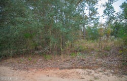 6099 HARVARD Avenue, Keystone Heights, FL 32656