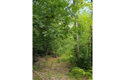 R13/038 Weeks Road, Parsonsfield, ME 04047