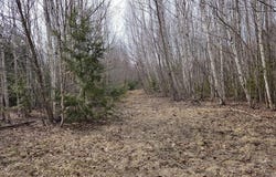 Woodland Drive, Carmel, ME 04419