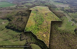 14320 N Greenville Rd, CROFTON, KY 42217