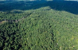 1300 block Homestead Valley Rd, New Hope, KY 40052