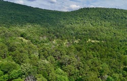 002 E Bolen Hollow W, Pittsburg, OK 74560