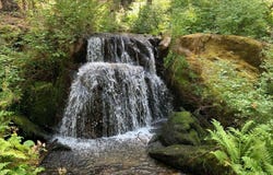 7170 Yosemite Park Way, Yosemite, CA 95389