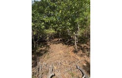 Tahitian Dr lot: 1338 And 1339, Bastrop, TX 78602