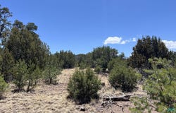Lot 66 Wagon Trail Road, Datil, NM 87821
