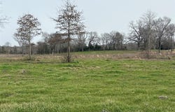 Tbd County Road 2425, Como, TX 75431