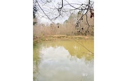 434 Highway 83, Evergreen, AL 36401