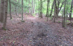 L5 Seven Hills Road, Northampton, NY 12134