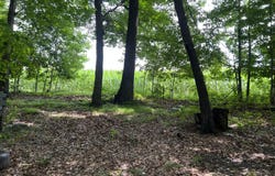 5092 East Drive, Lakeview, MI 48850