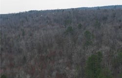 Broomfield lot: 0, Dover, AR 72837