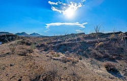 33497 Ocotillo Ave, Terlingua, TX 79852