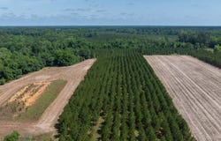 541 Hillbridge Road, Dublin, GA 31021