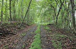 Jaybird Branch Road, Coeburn, VA 24230