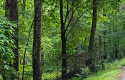 Wildwood Trail, Ellijay, GA 30540