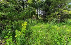 TBD IN- St Rd 45, Bloomington, IN 47403