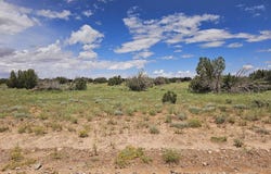 1924 Hutch Road, Heber, AZ 85928