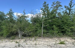 0000 NW Lakeside Avenue, Altha, FL 32421