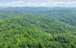 14 Lewis and Collins Road, Manchester, KY 40962