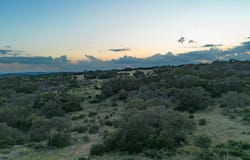 2104 CR 120A - Tract l, Marble Falls, TX 78654-0000