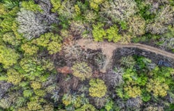 Abernathy Road, Sulligent, AL 35586