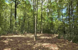 1131 Wolf Log Rd, Flomaton, AL 36441