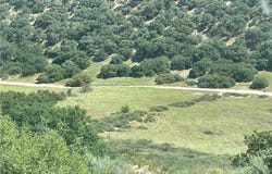 105 Paulsen Road, Lockwood, CA 94326