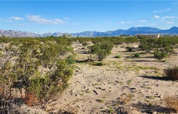 1 219-05-101-007 Quartz Ave, Sandy Valley, NV 89019