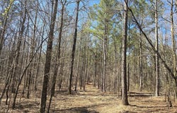 05 Bolton, Zebulon, GA 30295