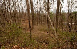 Scotch Pine Dr lot: 356, Copper Hill, VA 24079