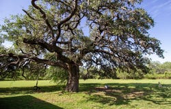 1236 FM 2824, Beeville, TX 78102
