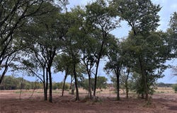 4772 County Road 707, Alvarado, TX 76009