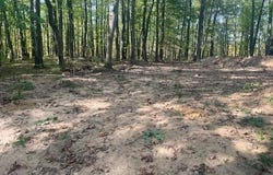 2360 Fawn, Harrison, MI 48625
