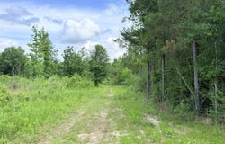 Summit Drive, Summit, MS 39666