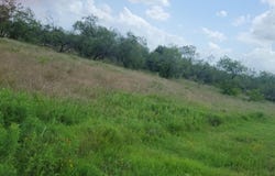 Palmito Rnch Road lot: 118, Corsicana, TX 75110