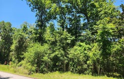 Royal Drive, Brooksville, FL 34601