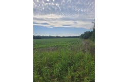 Tbd S U. S. HIGHWAY 271 Highway, Deport, TX 75435