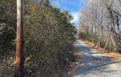 Kathy Lake Drive, Edneyville, NC 28792