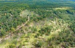 Pointer Road, West Branch, MI 48661