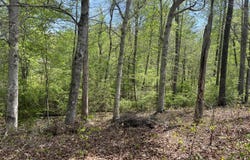 Excalibur Trail (Lot 243), Cedar Grove, TN 38321