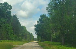 80 ACRES BEALL ROAD, BEAR LAKE, MI 49614